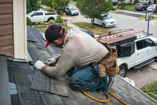 Professional Storm Damage Roof Repair technician working in Cambridge, MN